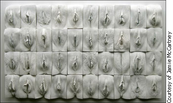 A wall made of plaster casts of women's vaginas.