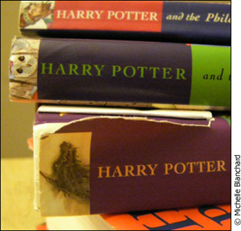 The Harry Potter series