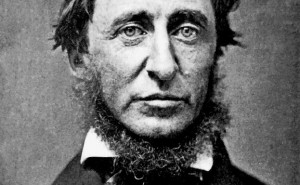 William David Thoreau: The man who's records were used in the study - Massachusets Archives 