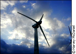 A wind turbine in Hawaii