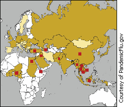 Confirmed cases of avian flu.