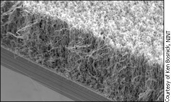Carbon nanotubes grown at the National Institute for Nanotechnology