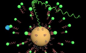 The nanobot emits a fluorescent signal when it detects the targeted biomarker. [Photo courtesy of Xiaolong Yang] 